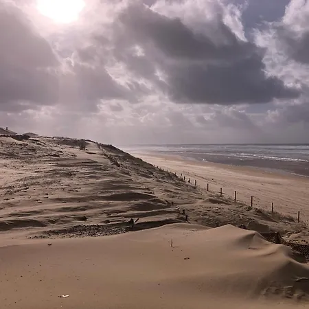 Daire Le Drop In - T2 Au Rdc Avec Terrasse A 200m De La - Well Located For Surfers *
